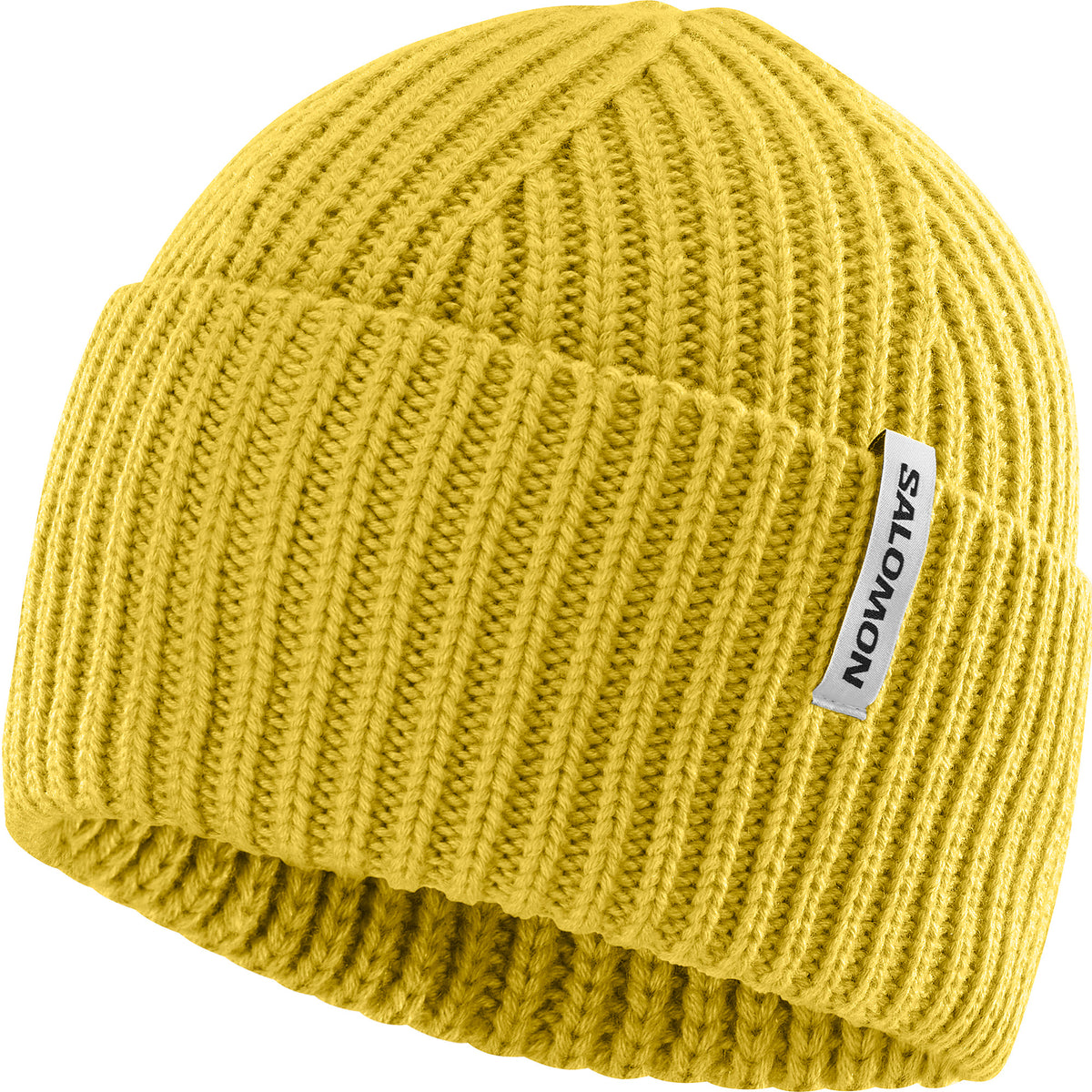 Salomon Snowbird Beanie